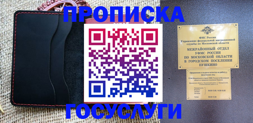 временная регистрация поиск в Артёме